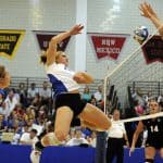 Best Volleyball Ankle Brace Reviews