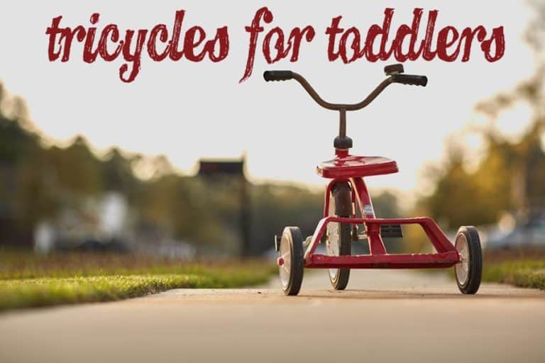 Buy the Best Tricycles for Kids and Toddlers Sport Consumer