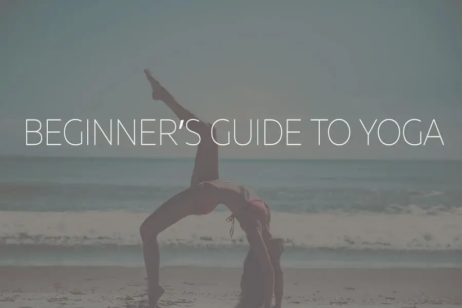 beginner's guide to Yoga