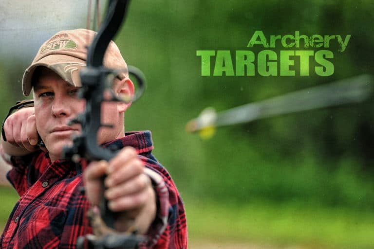 The 6 Best Archery Targets Bags, Foam, & 3D Targets Sport Consumer