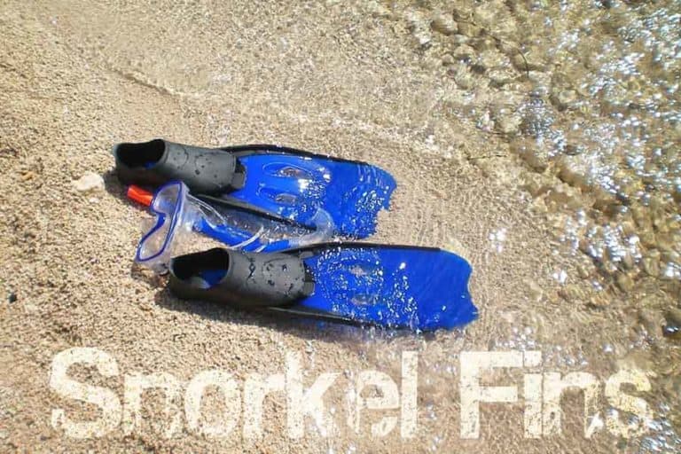 Best Snorkel Fins for Wide Feet for Beginner Sport Consumer