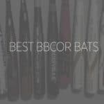 best BBCOR baseball bats